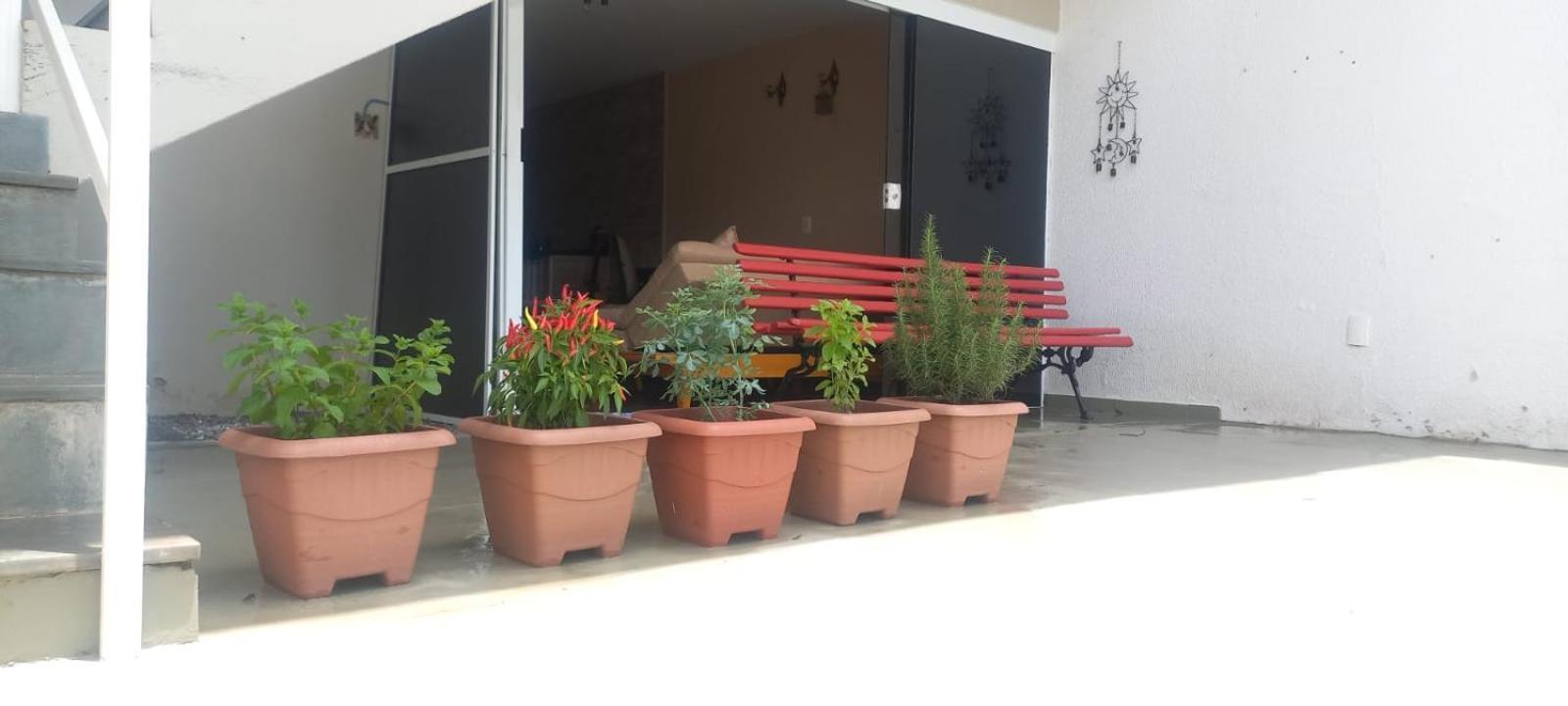 Studio Do Wander Amparo  Luaran gambar